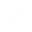 Business Agility